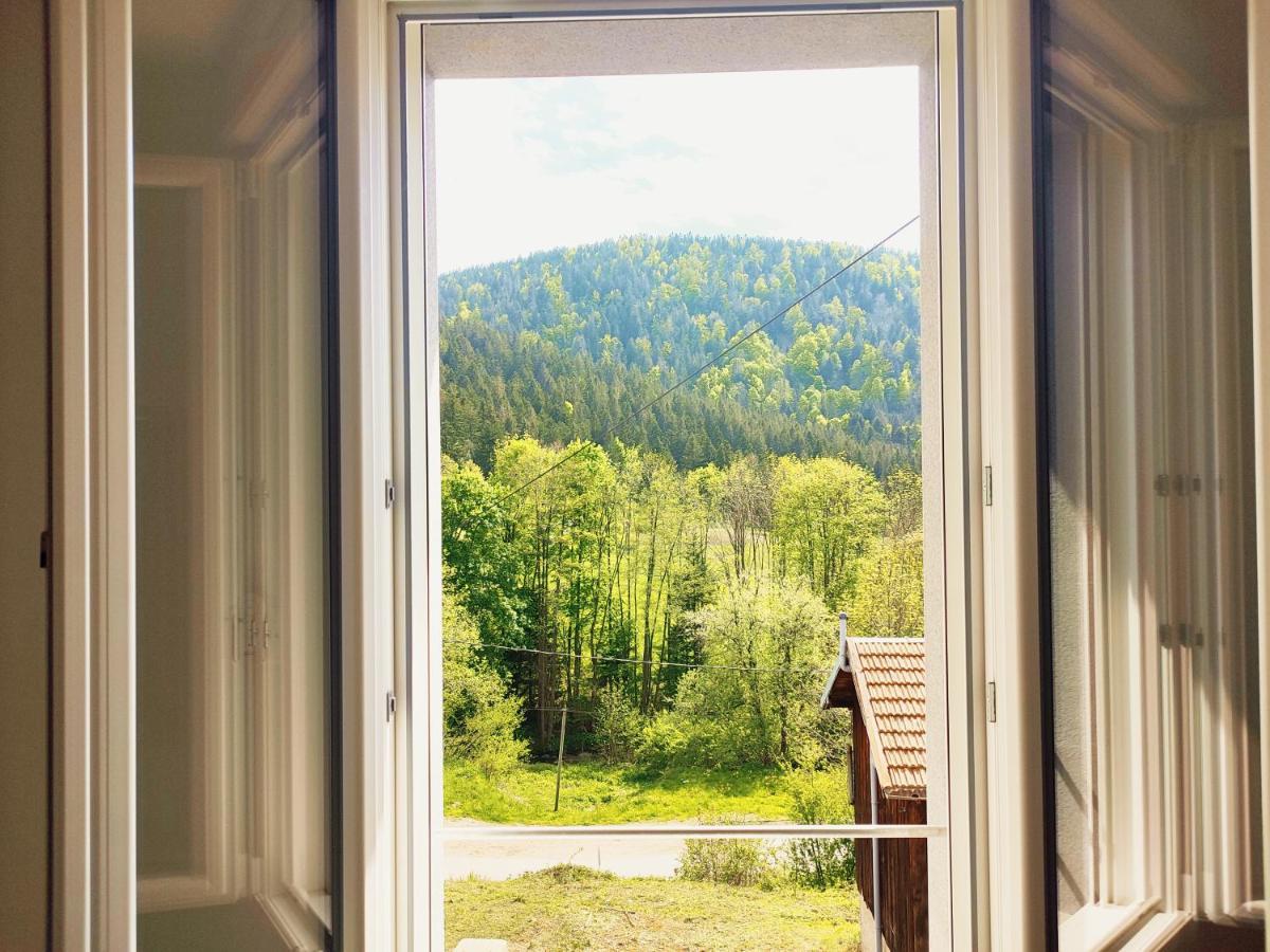 Le Grand Duc: Mountain View Apartment Near Gerardmer Rochesson Exterior photo